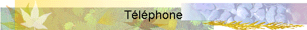 Tlphone